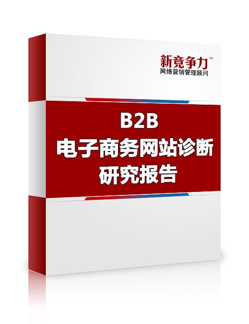b2b电子商务网站研究策略报告